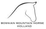 Bosnian Mountain Horse Holland